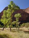 10634_12_10_2011_zion_national_park_utah_springdale_floor_valley_scenic_river_canyon_rock_sky_autum_color_tree_panoramic_landscape_photography_panorama_landschaft_24_5218x6812