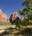 10645_12_10_2011_zion_national_park_utah_springdale_floor_valley_scenic_river_canyon_rock_sky_autum_color_tree_panoramic_landscape_photography_panorama_landschaft_13_5177x5907