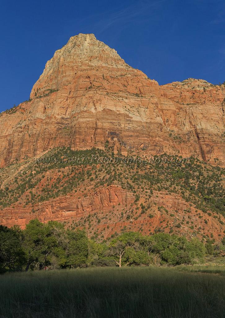 15907_30_09_2014_zion_national_park_watchman_trail_utah_autumn_red_rock_blue_sky_fall_color_colorful_tree_mountain_forest_panoramic_landscape_photography_herbst_82_6989x9860.jpg