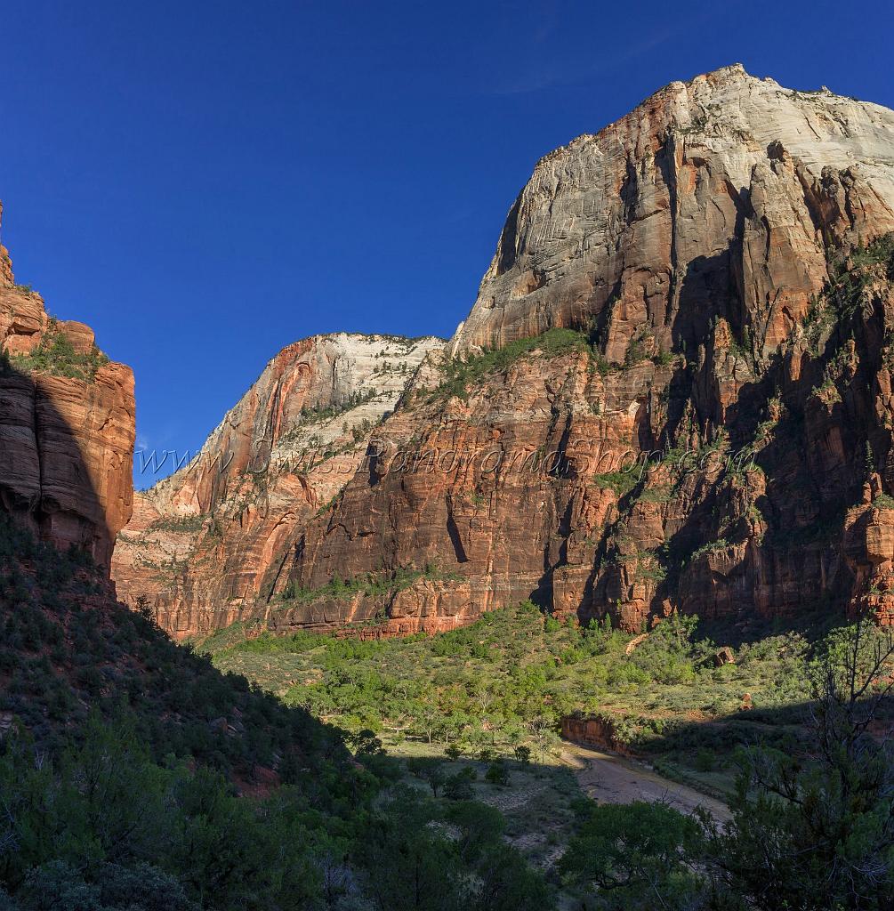 15913_30_09_2014_zion_national_park_west_rim_trail_utah_autumn_red_rock_blue_sky_fall_color_colorful_tree_mountain_forest_panoramic_landscape_photography_herbst_68_6168x6283.jpg