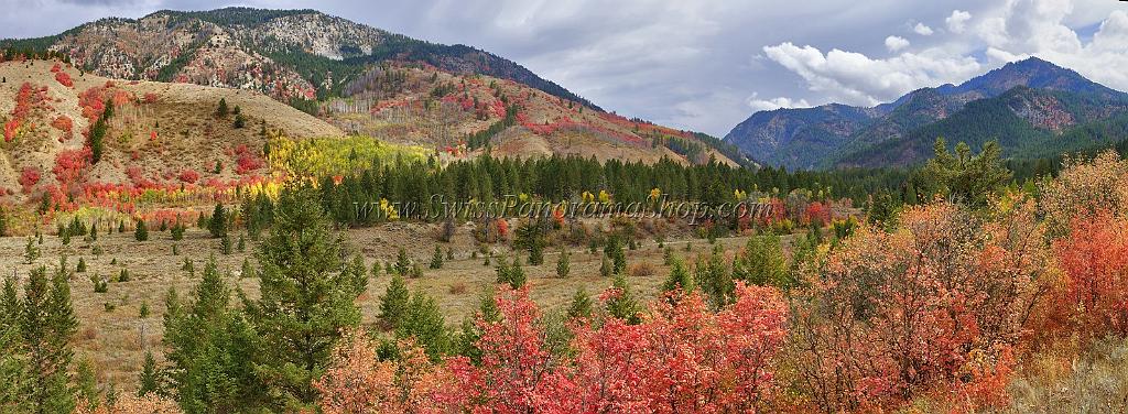 13045_24_09_2012_alpine_wyoming_river_tree_autumn_color_colorful_fall_foliage_leaves_mountain_forest_panoramic_landscape_photography_landschaft_foto_21_19621x7211.jpg