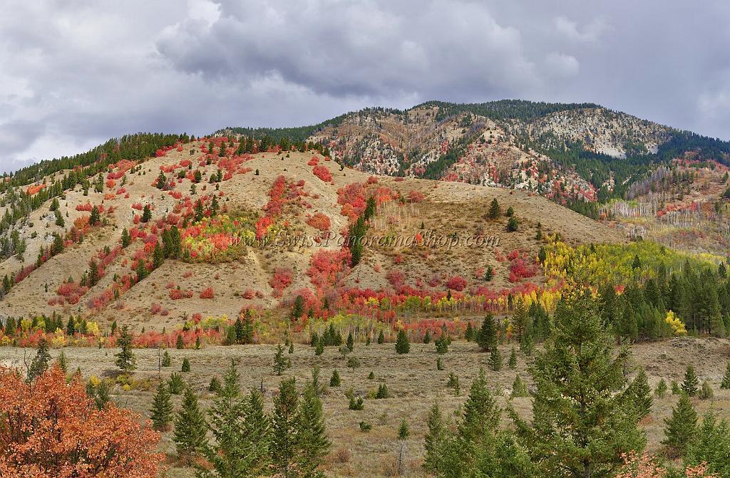 13046_24_09_2012_alpine_wyoming_river_tree_autumn_color_colorful_fall_foliage_leaves_mountain_forest_panoramic_landscape_photography_landschaft_foto_22_11553x7564.jpg