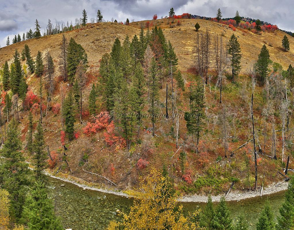 13051_24_09_2012_alpine_wyoming_river_tree_autumn_color_colorful_fall_foliage_leaves_mountain_forest_panoramic_landscape_photography_landschaft_foto_27_14664x11497.jpg