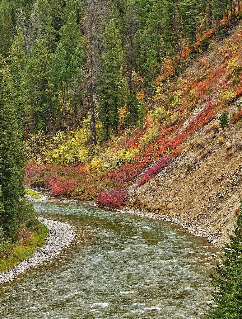13053_24_09_2012_alpine_wyoming_river_tree_autumn_color_colorful_fall_foliage_leaves_mountain_forest_panoramic_landscape_photography_landschaft_foto_29_6822x8987.jpg