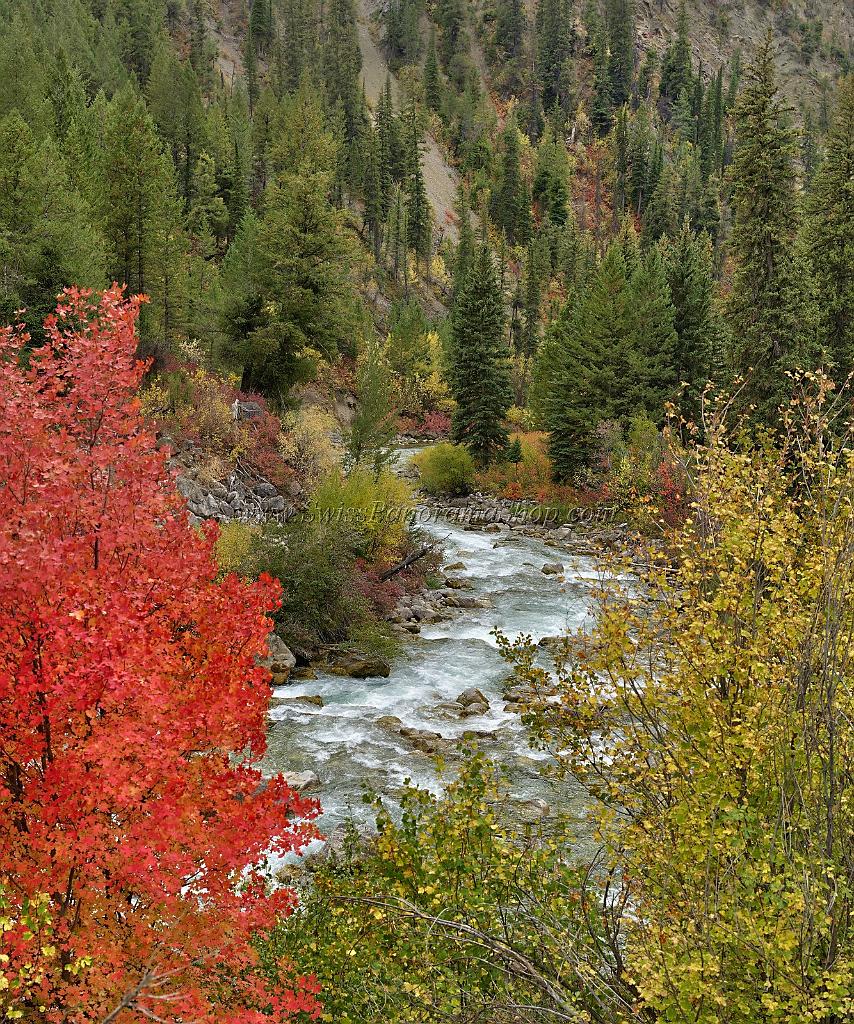 13057_24_09_2012_alpine_wyoming_river_tree_autumn_color_colorful_fall_foliage_leaves_mountain_forest_panoramic_landscape_photography_landschaft_foto_32_6974x8362.jpg