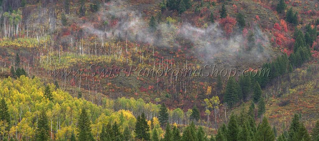 16334_22_09_2014_alpine_wyoming_river_tree_autumn_color_colorful_fall_foliage_leaves_mountain_forest_panoramic_landscape_photography_landschaft_foto_28_9926x4399.jpg