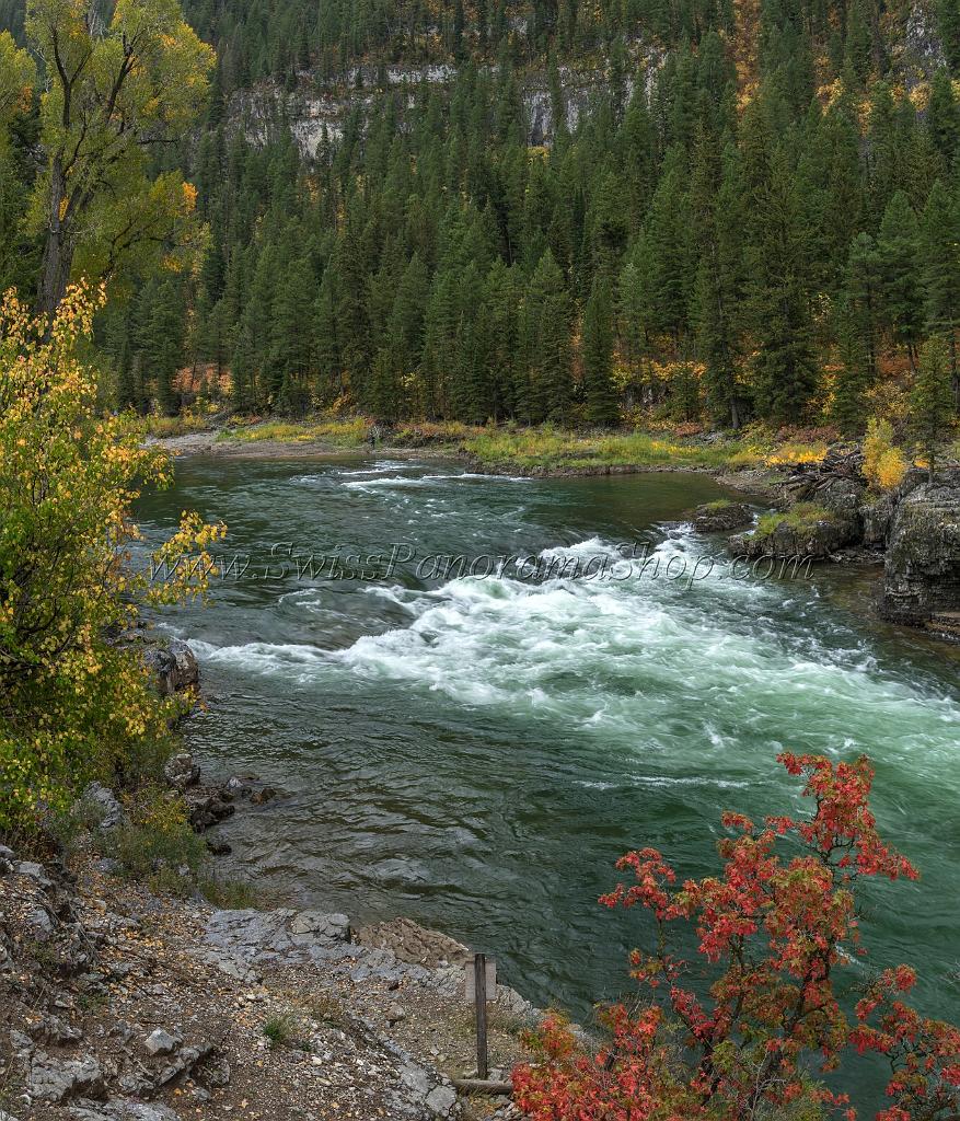 16337_22_09_2014_alpine_wyoming_river_tree_autumn_color_colorful_fall_foliage_leaves_mountain_forest_panoramic_landscape_photography_landschaft_foto_24_6655x7769.jpg