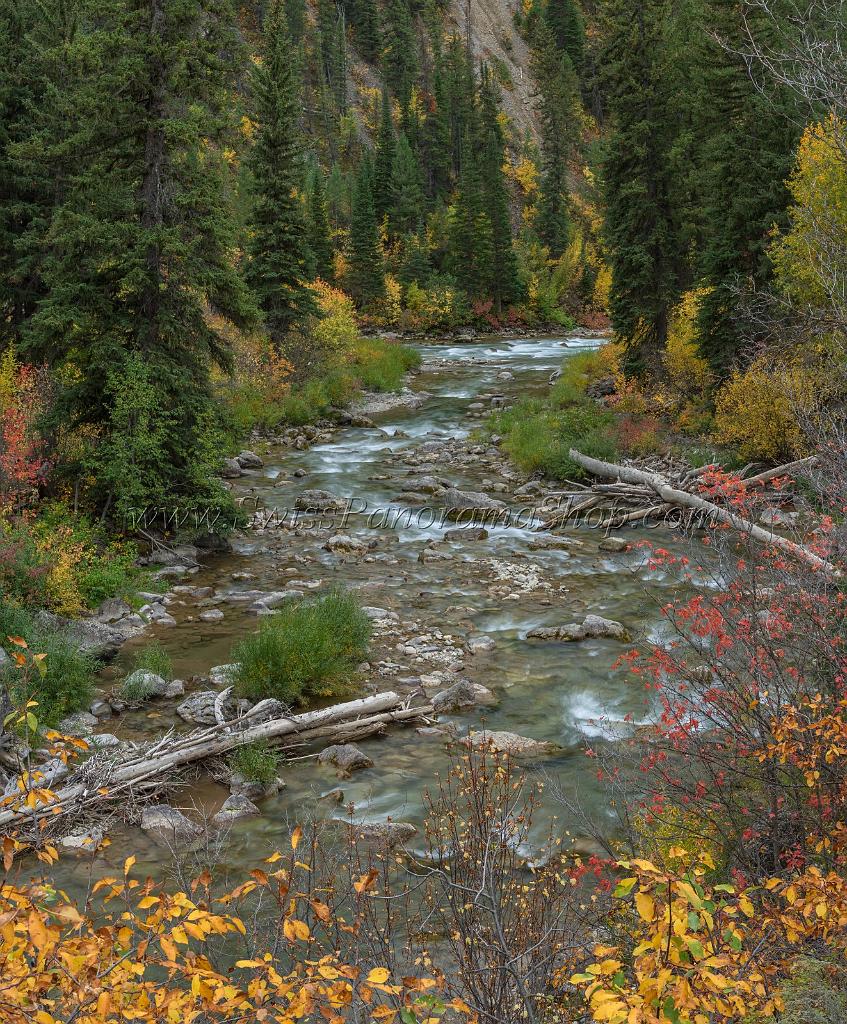 16343_21_09_2014_alpine_wyoming_river_tree_autumn_color_colorful_fall_foliage_leaves_mountain_forest_panoramic_landscape_photography_landschaft_foto_54_6988x8448.jpg