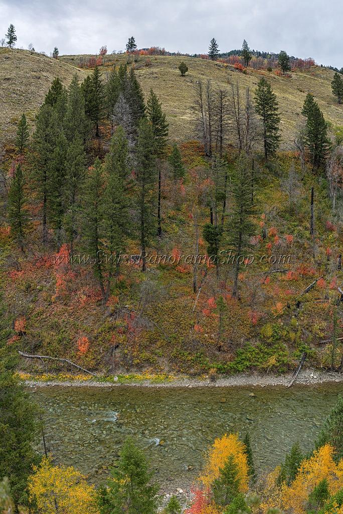 16345_21_09_2014_alpine_wyoming_river_tree_autumn_color_colorful_fall_foliage_leaves_mountain_forest_panoramic_landscape_photography_landschaft_foto_49_6597x9883.jpg