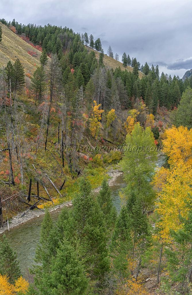 16346_21_09_2014_alpine_wyoming_river_tree_autumn_color_colorful_fall_foliage_leaves_mountain_forest_panoramic_landscape_photography_landschaft_foto_48_6499x9972.jpg