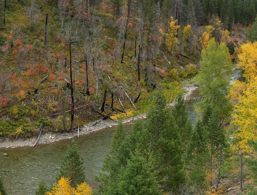 16347_21_09_2014_alpine_wyoming_river_tree_autumn_color_colorful_fall_foliage_leaves_mountain_forest_panoramic_landscape_photography_landschaft_foto_47_13400x10159.jpg