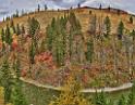 13051_24_09_2012_alpine_wyoming_river_tree_autumn_color_colorful_fall_foliage_leaves_mountain_forest_panoramic_landscape_photography_landschaft_foto_27_14664x11497