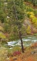 13054_24_09_2012_alpine_wyoming_river_tree_autumn_color_colorful_fall_foliage_leaves_mountain_forest_panoramic_landscape_photography_landschaft_foto_30_4365x7084