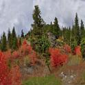 13055_24_09_2012_alpine_wyoming_river_tree_autumn_color_colorful_fall_foliage_leaves_mountain_forest_panoramic_landscape_photography_landschaft_foto_31_12000x12000