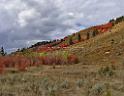 13059_24_09_2012_alpine_wyoming_river_tree_autumn_color_colorful_fall_foliage_leaves_mountain_forest_panoramic_landscape_photography_landschaft_foto_34_12173x9400
