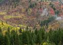 15873_22_09_2014_alpine_wyoming_river_tree_autumn_color_colorful_fall_foliage_leaves_mountain_forest_panoramic_landscape_photography_landschaft_foto_27_9871x7044