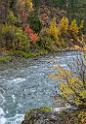 15875_22_09_2014_alpine_wyoming_river_tree_autumn_color_colorful_fall_foliage_leaves_mountain_forest_panoramic_landscape_photography_landschaft_foto_44_6750x9724