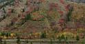 16332_22_09_2014_alpine_wyoming_river_tree_autumn_color_colorful_fall_foliage_leaves_mountain_forest_panoramic_landscape_photography_landschaft_foto_37_13185x6812