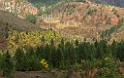 16335_22_09_2014_alpine_wyoming_river_tree_autumn_color_colorful_fall_foliage_leaves_mountain_forest_panoramic_landscape_photography_landschaft_foto_26_6823x4281