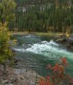 16337_22_09_2014_alpine_wyoming_river_tree_autumn_color_colorful_fall_foliage_leaves_mountain_forest_panoramic_landscape_photography_landschaft_foto_24_6655x7769