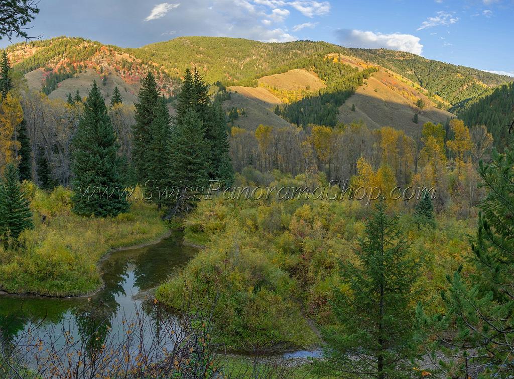 15959_22_09_2014_hoback_wyoming_river_tree_autumn_color_colorful_fall_foliage_leaves_mountain_forest_panoramic_landscape_photography_landschaft_foto_63_8077x5954