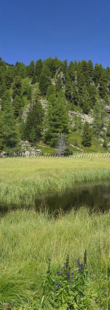 5289_18_08_2008_windebensee_nockalmstrasse_kaernten_oesterreich_17_3982x11183.jpg