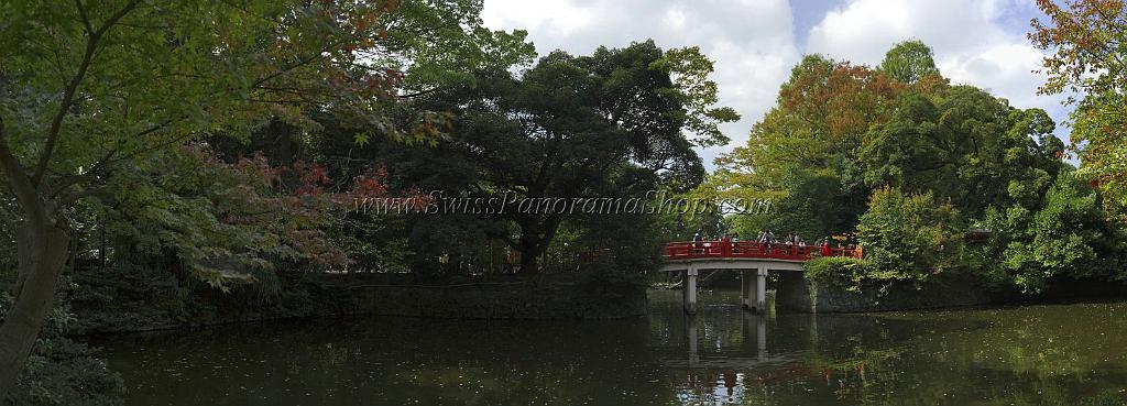 3390_19-10-2008-omjya-hikawa-jinjya-shrine-in-autumn-saitama-japan-3_11293x4072.jpg