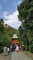 3394_19-10-2008-omjya-hikawa-jinjya-shrine-wedding-in-autumn-saitama-japan-1_3980x7219