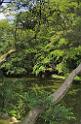 3399_19-10-2008-omjya-hikawa-jinjya-shrine-in-autumn-saitama-japan-13_4160x6362