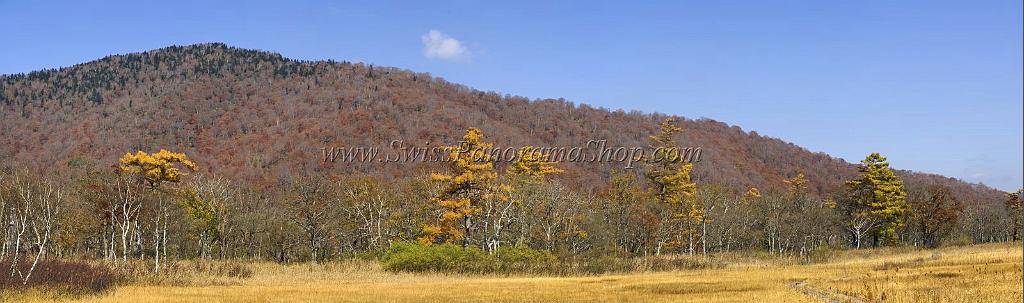 3513_21-10-2008-oze-gahara-marshland-oze-nationalpark-katashina-mura-autumn-japan-11_13550x4010.jpg