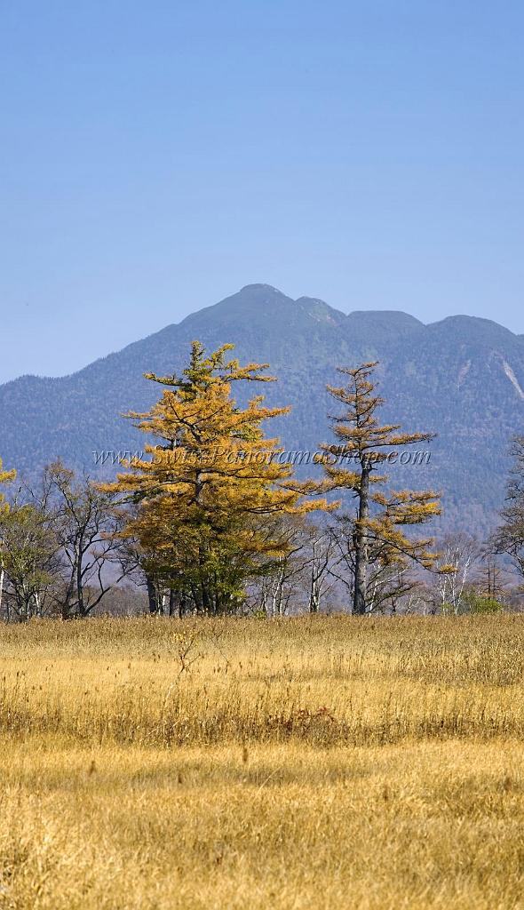 3514_21-10-2008-oze-gahara-marshland-oze-nationalpark-katashina-mura-autumn-japan-12_4063x7048.jpg