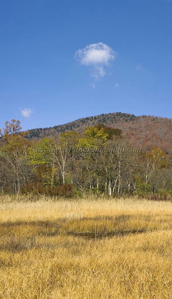 3518_21-10-2008-oze-gahara-marshland-oze-nationalpark-katashina-mura-autumn-japan-16_4305x7486.jpg