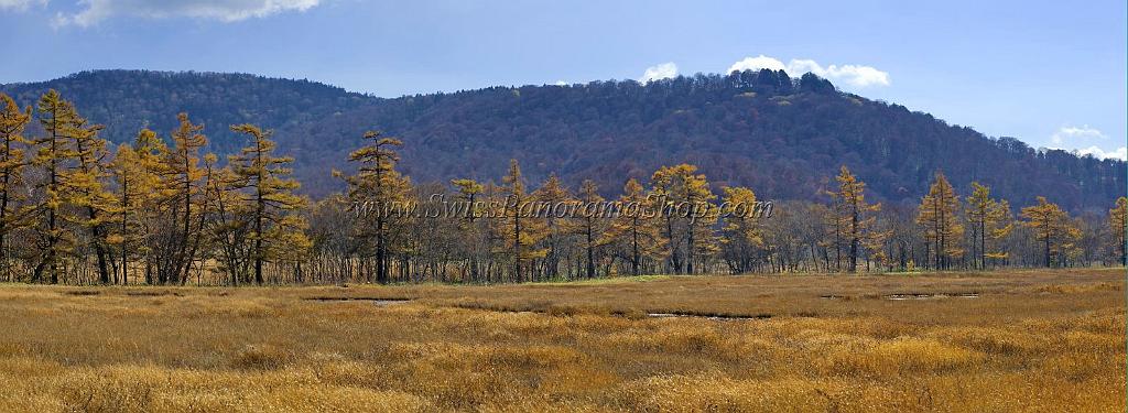 3520_21-10-2008-oze-gahara-marshland-oze-nationalpark-katashina-mura-autumn-japan-18_11350x4158.jpg