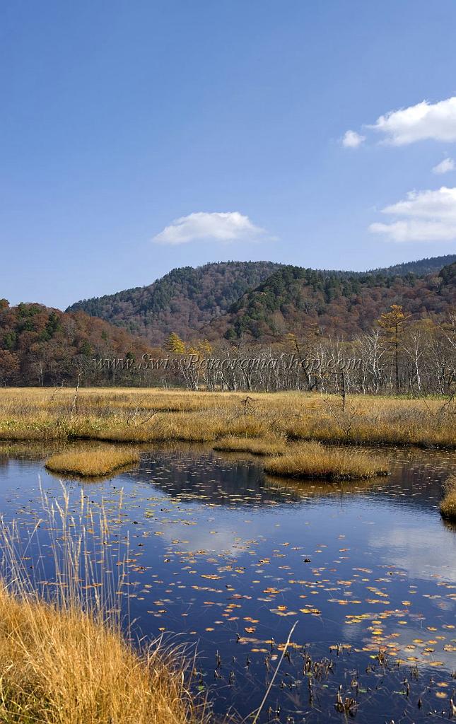 3522_21-10-2008-oze-gahara-marshland-oze-nationalpark-katashina-mura-autumn-japan-20_4407x6995.jpg