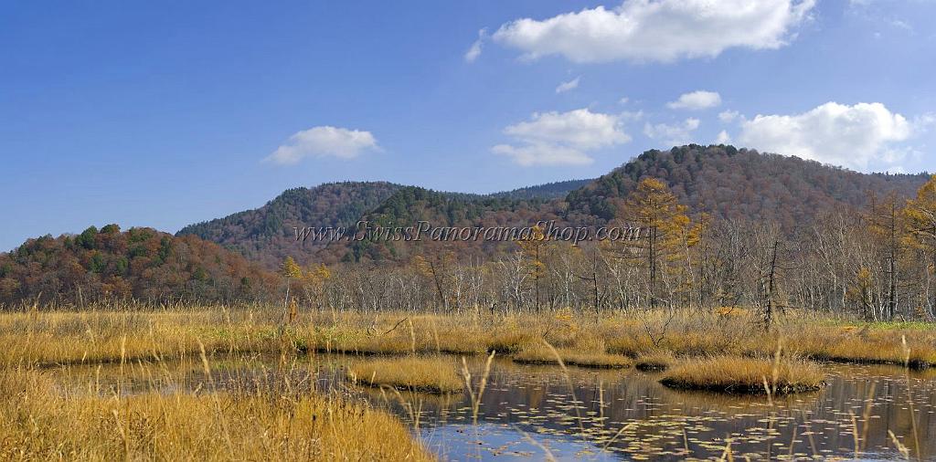 3523_21-10-2008-oze-gahara-marshland-oze-nationalpark-katashina-mura-autumn-japan-21_8578x4244.jpg