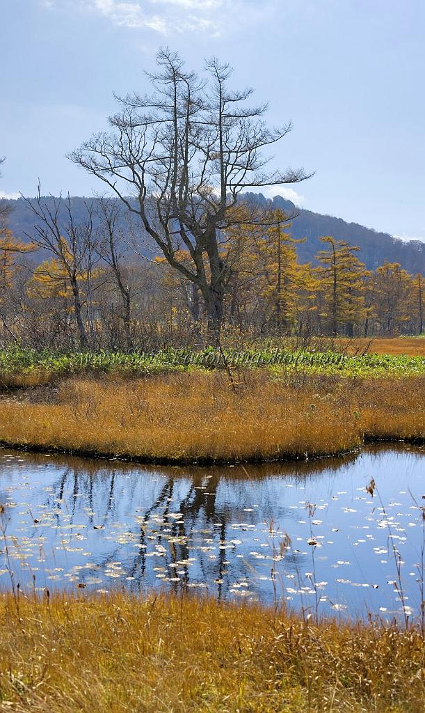 3525_21-10-2008-oze-gahara-marshland-oze-nationalpark-katashina-mura-autumn-japan-23_4361x7314.jpg