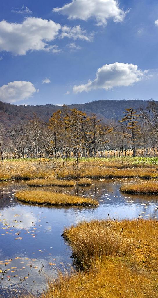 3526_21-10-2008-oze-gahara-marshland-oze-nationalpark-katashina-mura-autumn-japan-24_4388x8259.jpg