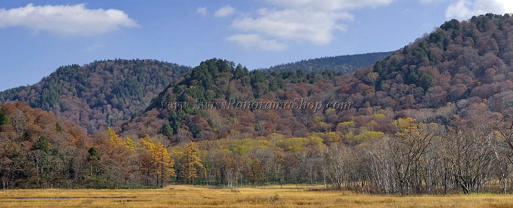 3529_21-10-2008-oze-gahara-marshland-oze-nationalpark-katashina-mura-autumn-japan-27_9958x4057.jpg