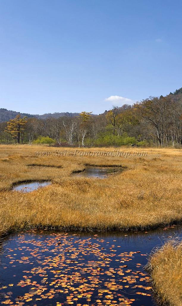 3532_21-10-2008-oze-gahara-marshland-oze-nationalpark-katashina-mura-autumn-japan-30_4373x7311.jpg