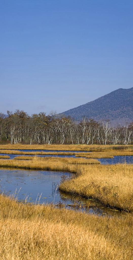 3534_21-10-2008-oze-gahara-marshland-oze-nationalpark-katashina-mura-autumn-japan-32_3778x7365.jpg