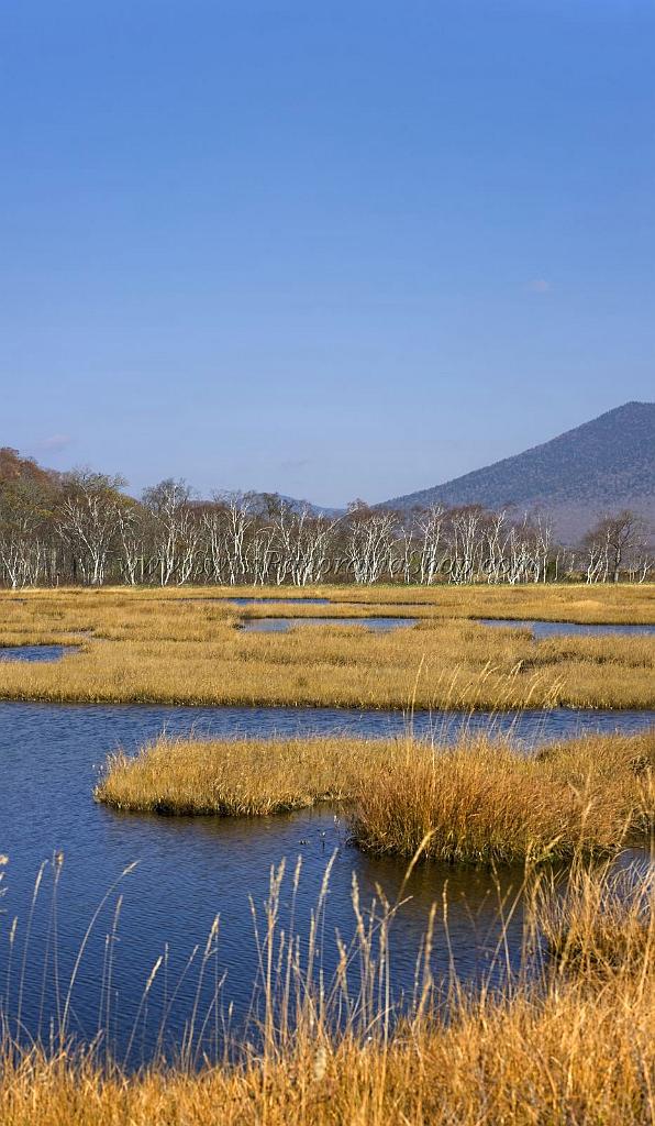 3537_21-10-2008-oze-gahara-marshland-oze-nationalpark-katashina-mura-autumn-japan-35_4096x7027.jpg