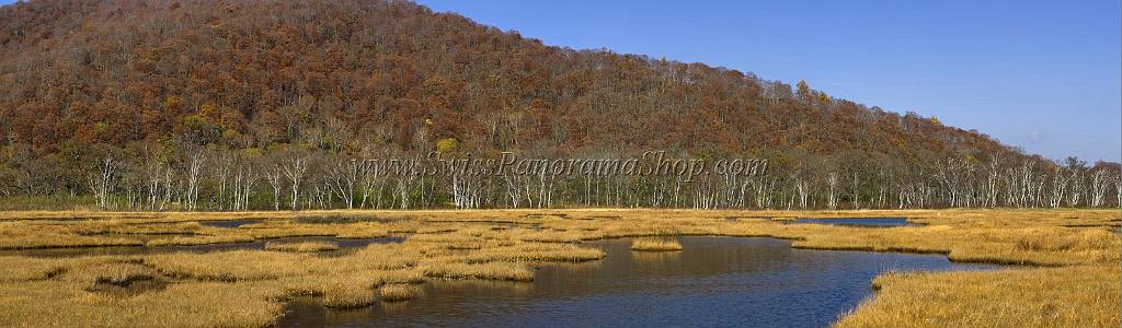 3538_21-10-2008-oze-gahara-marshland-oze-nationalpark-katashina-mura-autumn-japan-36_13642x3994.jpg