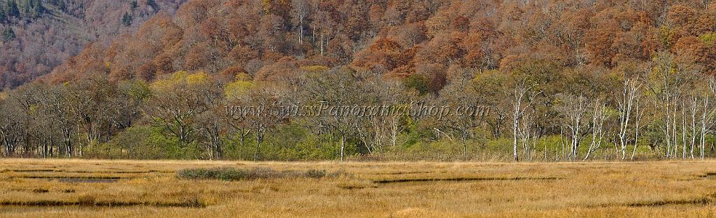 3542_21-10-2008-oze-gahara-marshland-oze-nationalpark-katashina-mura-autumn-japan-40_12972x3962.jpg