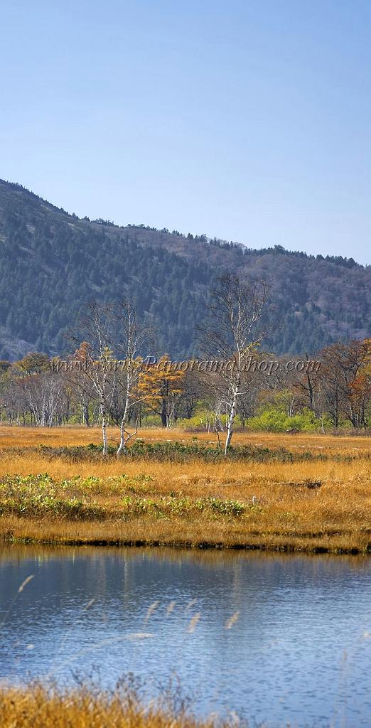 3543_21-10-2008-oze-gahara-marshland-oze-nationalpark-katashina-mura-autumn-japan-41_3828x7512.jpg