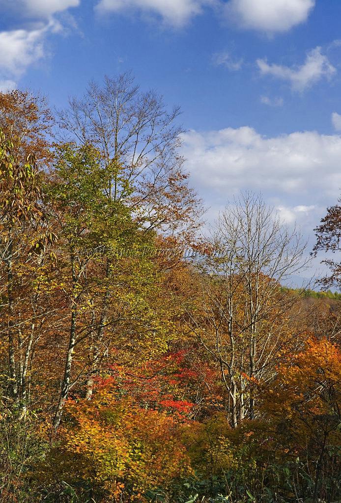 3547_21-10-2008-oze-gahara-marshland-oze-nationalpark-katashina-mura-autumn-japan-46_4152x6123.jpg