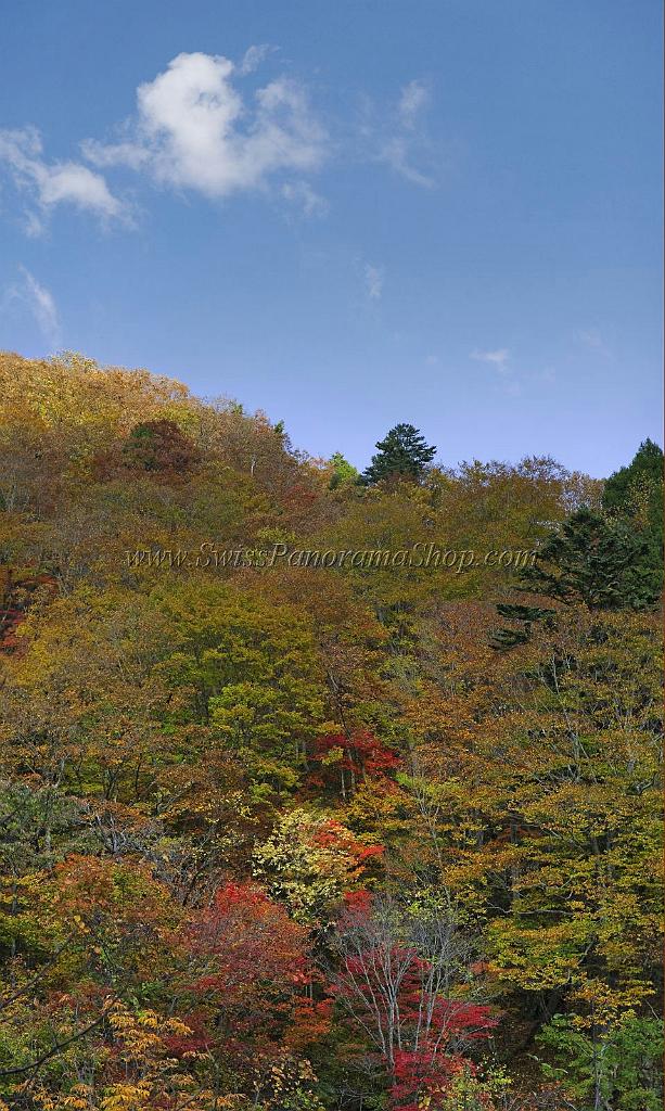 3554_21-10-2008-oze-gahara-marshland-oze-nationalpark-katashina-mura-autumn-japan-53_4170x6959.jpg