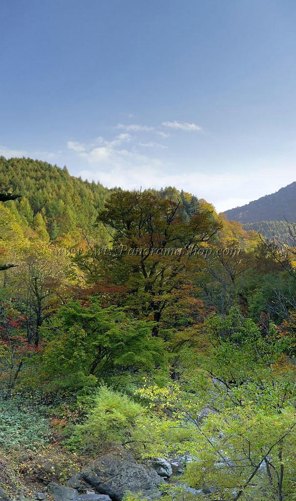 3560_21-10-2008-oze-gahara-marshland-oze-nationalpark-katashina-mura-autumn-japan-59_4049x6842.jpg