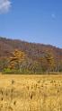 3511_21-10-2008-oze-gahara-marshland-oze-nationalpark-katashina-mura-autumn-japan-9_4015x7219