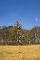 3512_21-10-2008-oze-gahara-marshland-oze-nationalpark-katashina-mura-autumn-japan-10_4324x6451