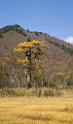 3515_21-10-2008-oze-gahara-marshland-oze-nationalpark-katashina-mura-autumn-japan-13_4162x7075